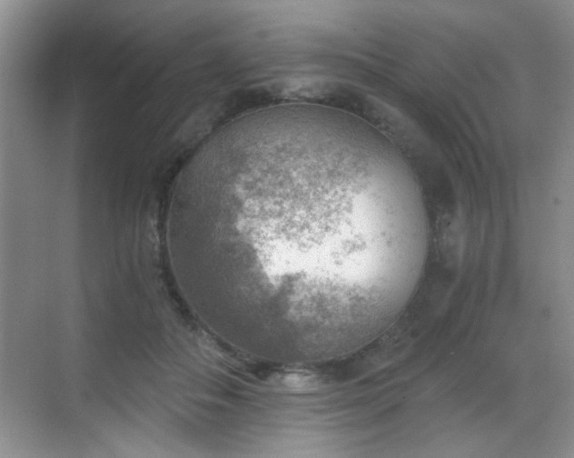 X0000068830506200605081217