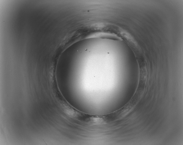 X0000068830509200605081217