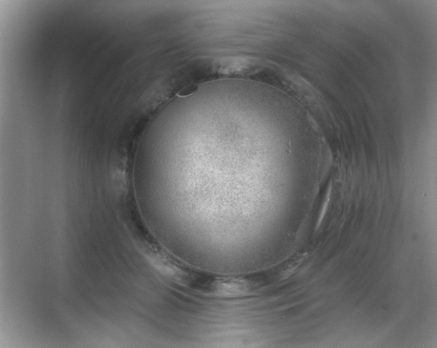 X0000068830510200605081217