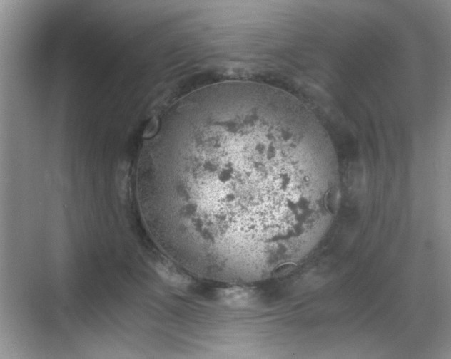 X0000068830511200605081217