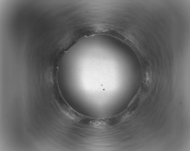 X0000068830512200605081217