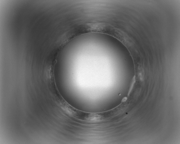 X0000068830514200605081217