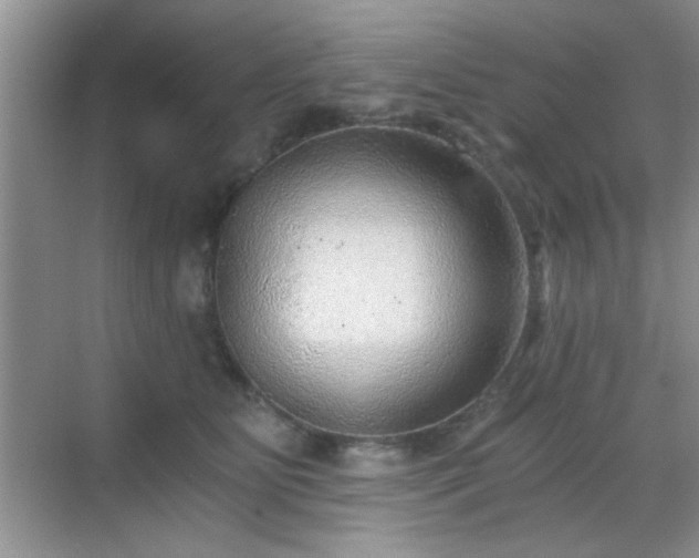 X0000068830515200605081217