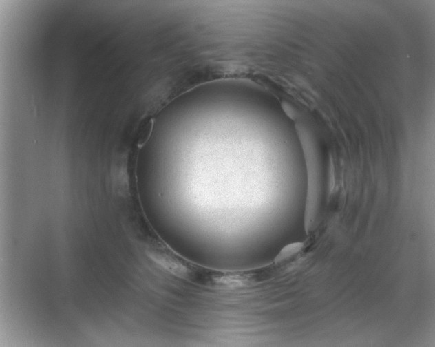 X0000068830516200605081217