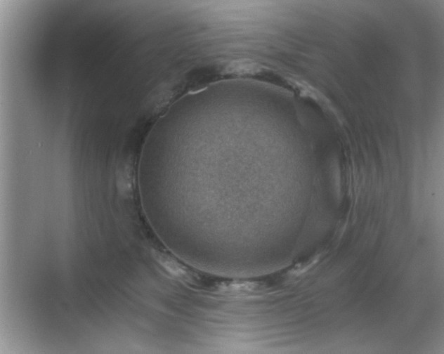 X0000068830517200605081217