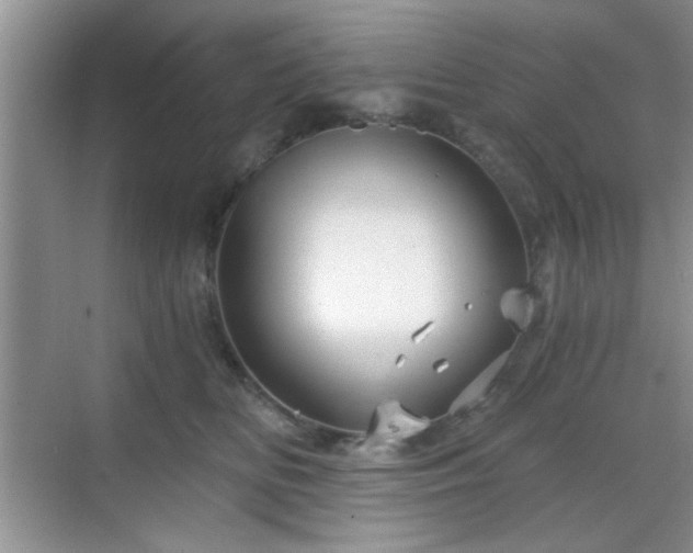 X0000068830518200605081217