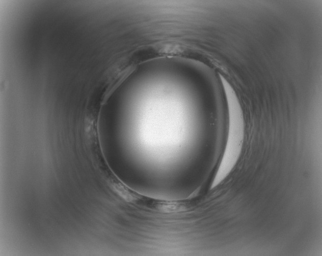 X0000068830521200605081216