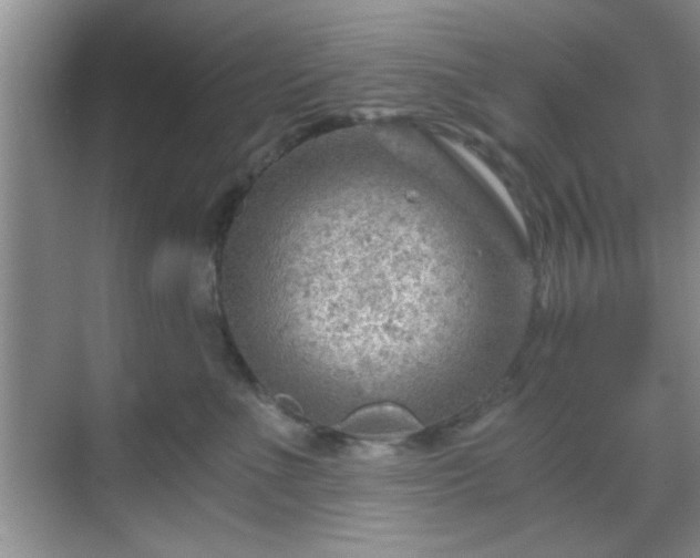 X0000068830523200605081216