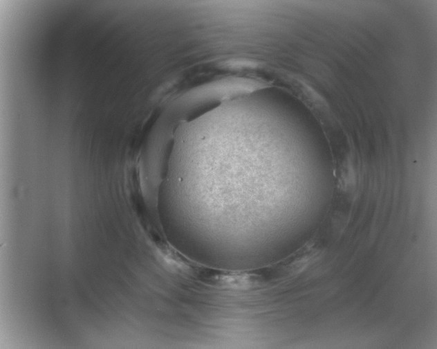 X0000068830524200605081216