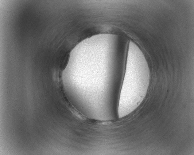 X0000068830525200605081216