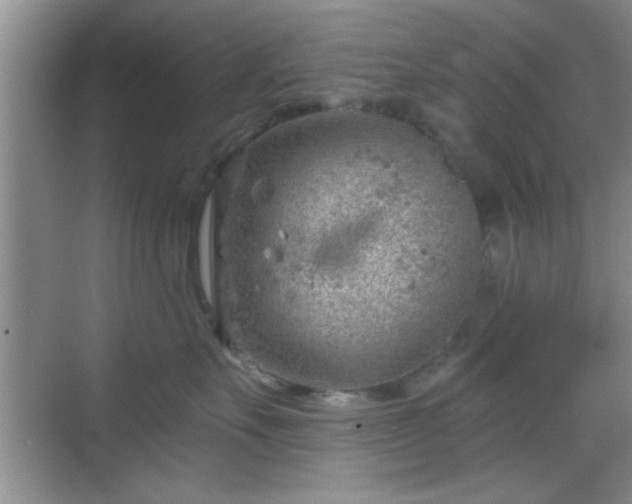 X0000068830527200605081216