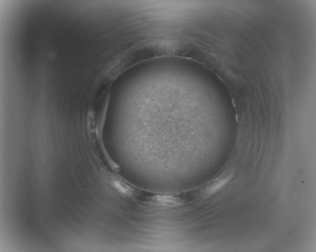 X0000068830528200605081216