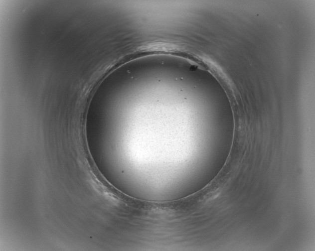 X0000068830529200605081216