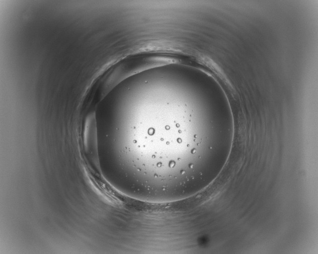 X0000068830530200605081216