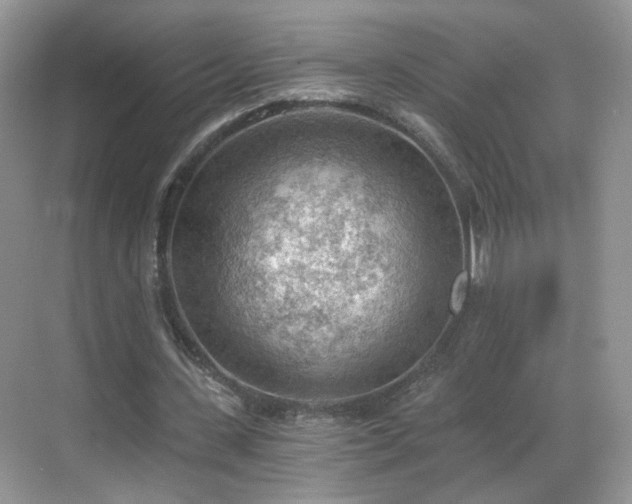 X0000068830531200605081216