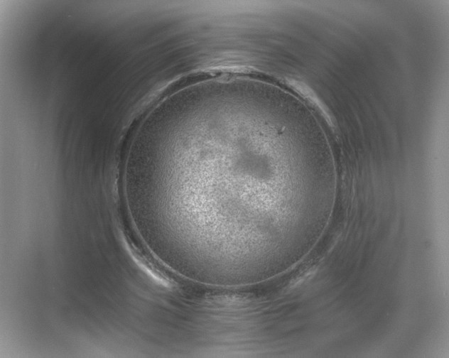 X0000068830533200605081216