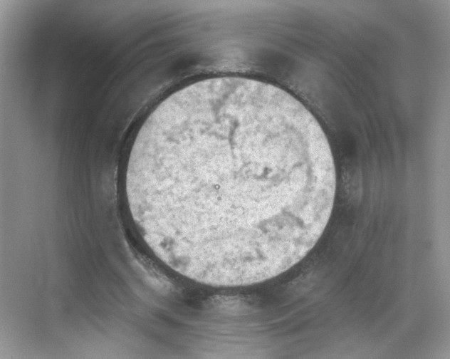 X0000068830534200605081216