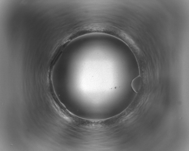 X0000068830537200605081216