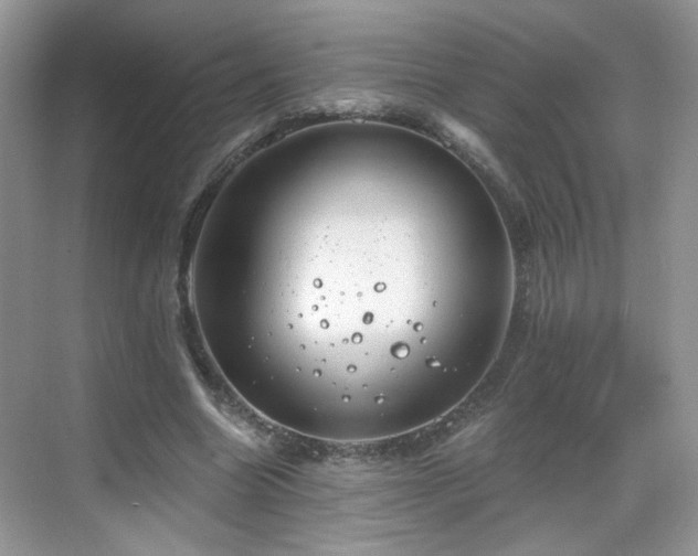 X0000068830538200605081216