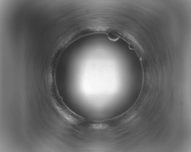 X0000068830541200605081216