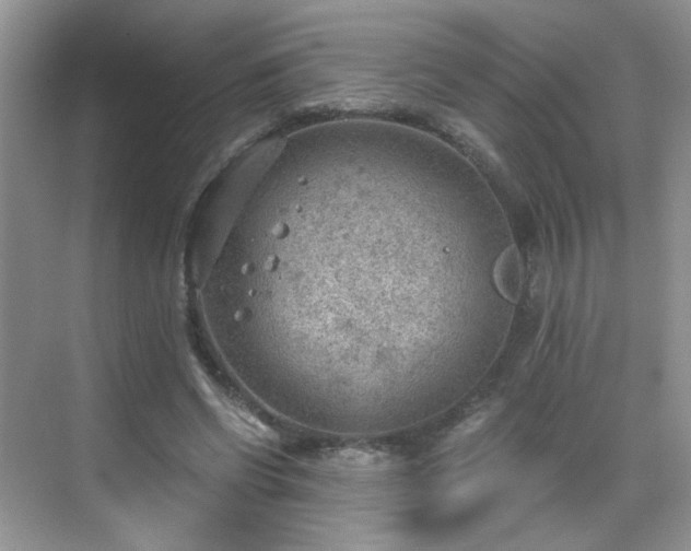 X0000068830542200605081216