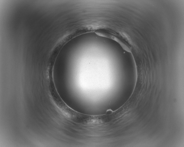 X0000068830543200605081216