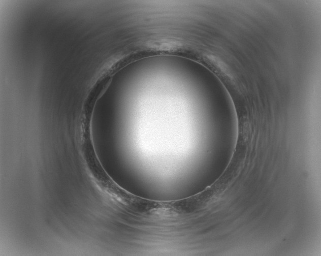 X0000068830544200605081216