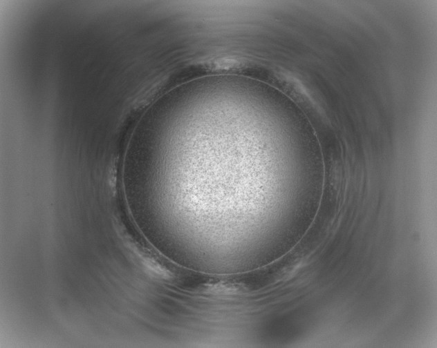 X0000068830545200605081216