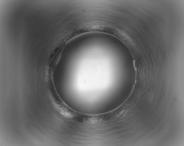 X0000068830546200605081216