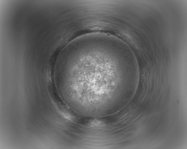 X0000068830547200605081216