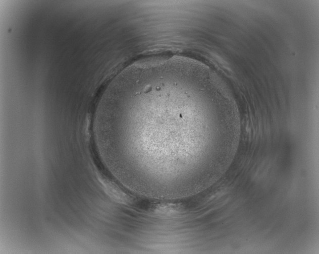 X0000068830550200605081216