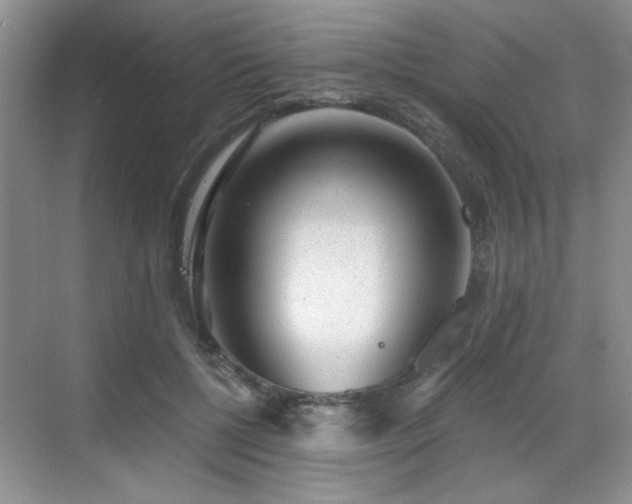 X0000068830552200605081216