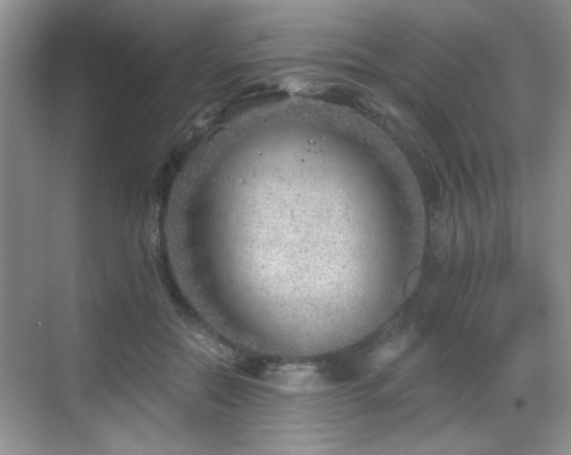 X0000068830554200605081216