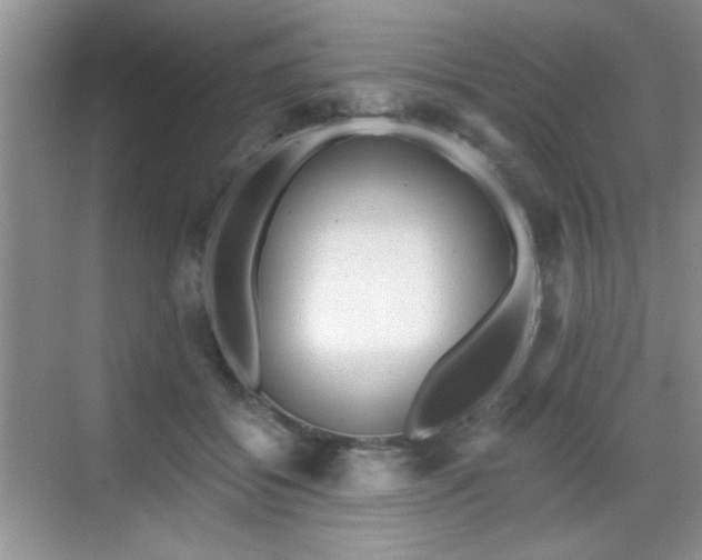 X0000068830556200605081216