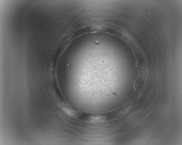 X0000068830557200605081216