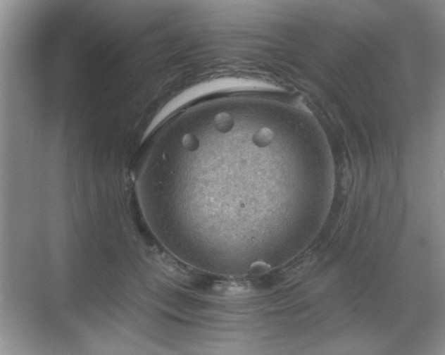 X0000068830559200605081216