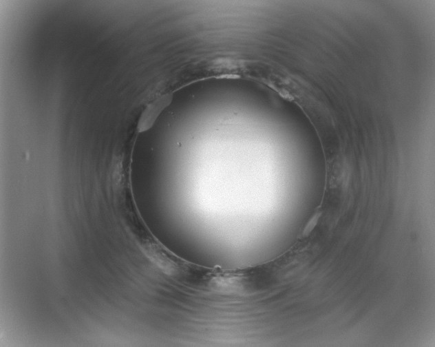 X0000068830560200605081216