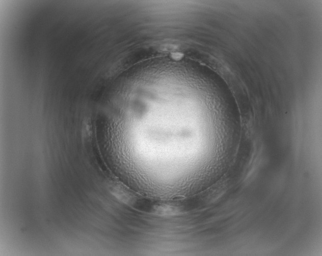 X0000068830561200605081216