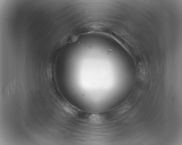 X0000068830562200605081216