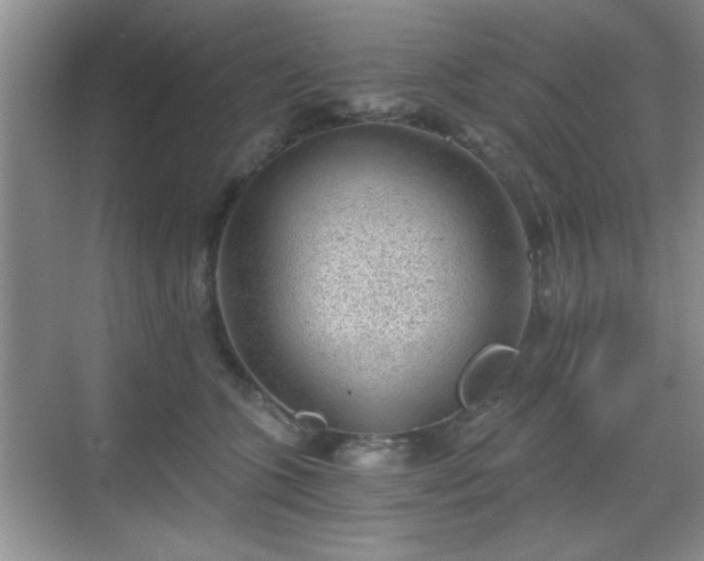 X0000068830563200605081216