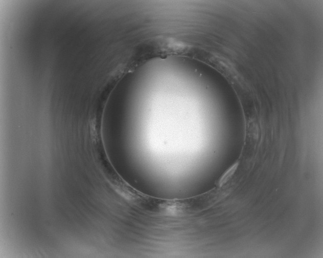 X0000068830564200605081216