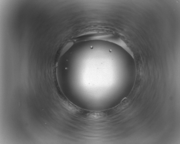 X0000068830567200605081216