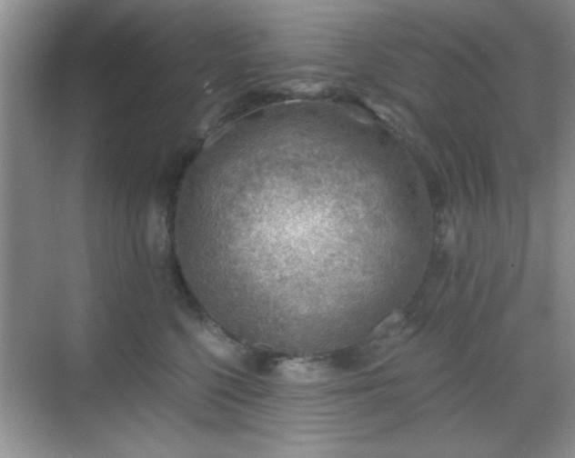 X0000068830568200605081216