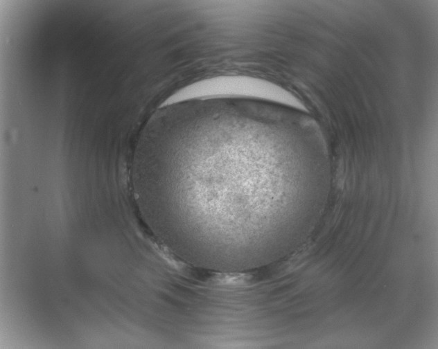 X0000068830569200605081216