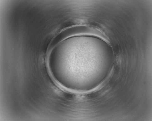 X0000068830570200605081216