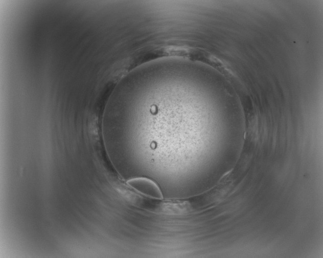 X0000068830571200605081216