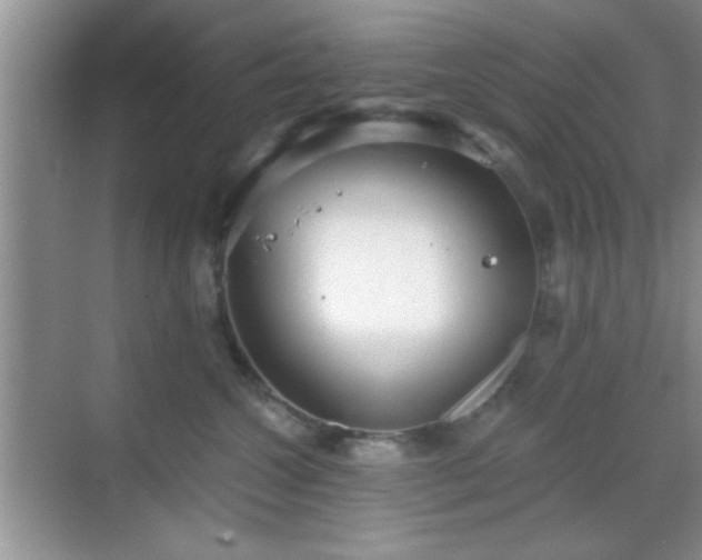 X0000068830572200605081216