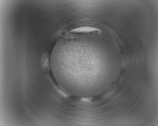 X0000068830573200605081216