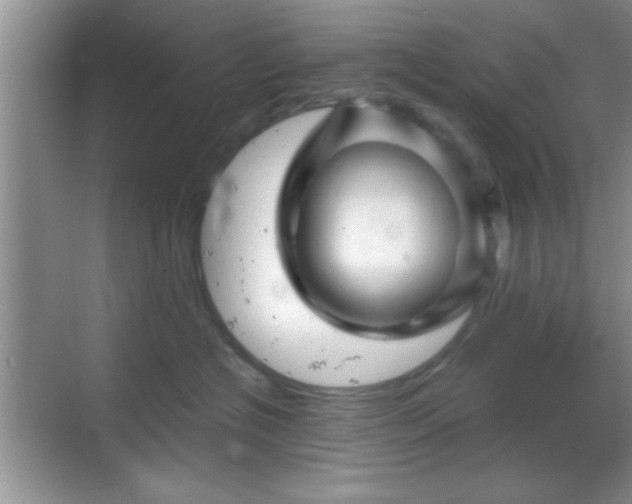 X0000068830574200605081216