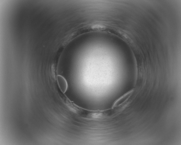 X0000068830575200605081216